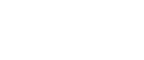 Steward 1